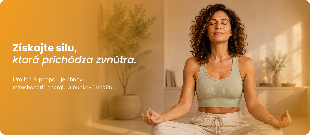 Podpora svalov a energie